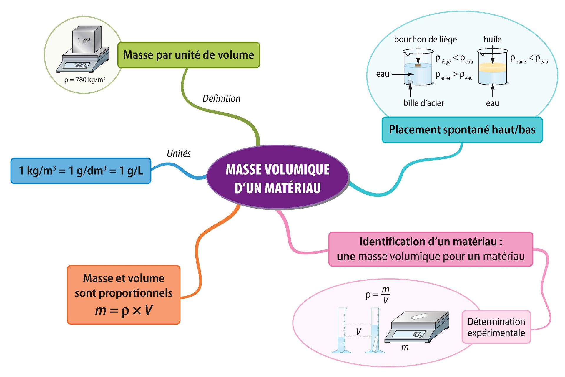 Synthèses CE1D Sciences