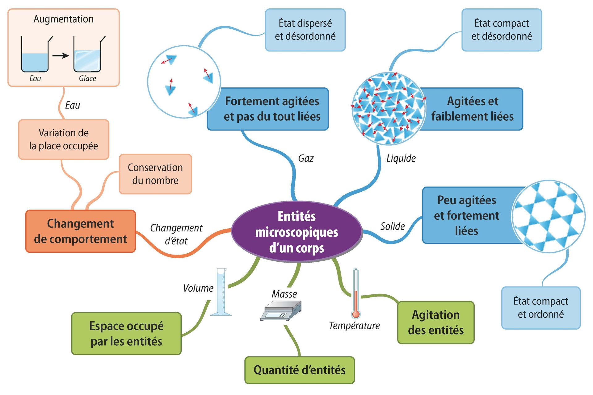 Synthèses CE1D Sciences